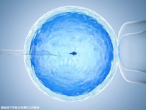 紫韵医疗